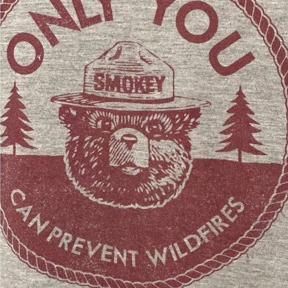 Gray Smokey Bear Graphic Tee - Picture 2 of 3
